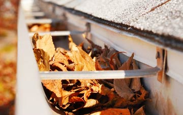 Ringshall gutter cleaning companies